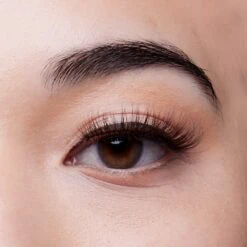 Jet Setter | Classic False Lashes